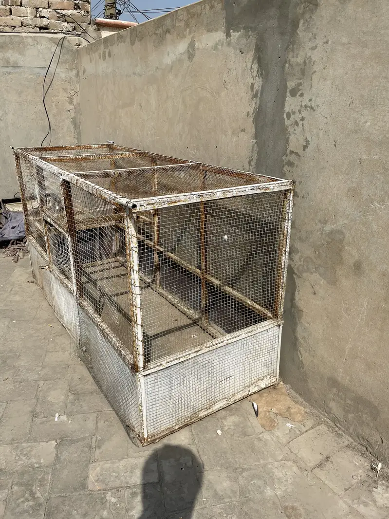 Iron Cage for Sale Urgently — photo 2
