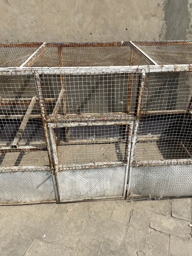 Iron Cage for Sale Urgently — photo 3