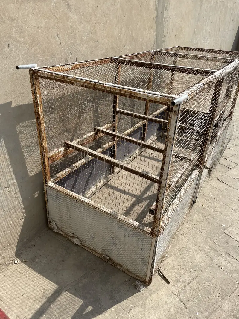 Iron Cage for Sale Urgently — photo 4