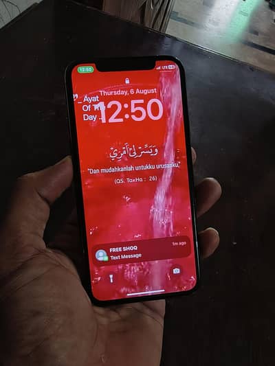 Apple iPhone X