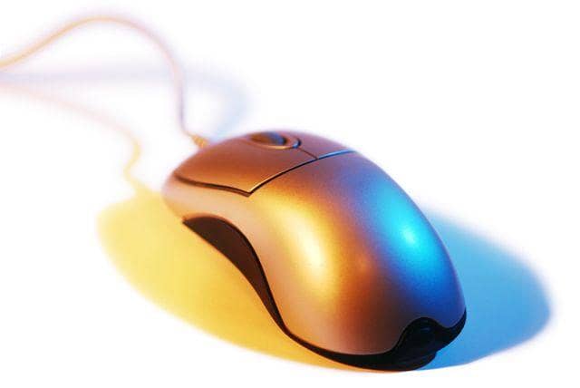 a new mouse 1