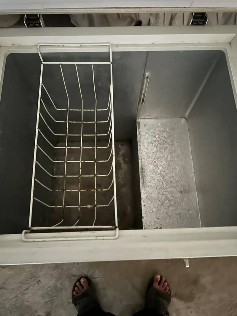 freezer 6
