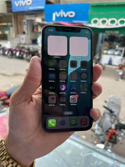 Apple iPhone X