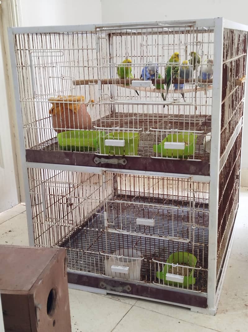 Solid Heavy Cages,  Breeding Boxes 5
