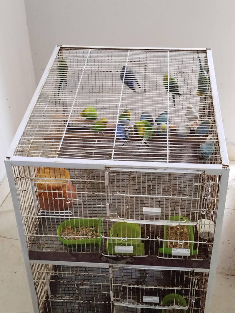 Solid Heavy Cages,  Breeding Boxes 1