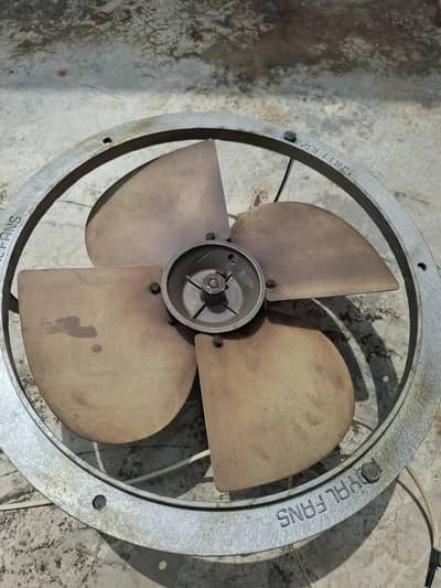 Exhaust Fan royan fans