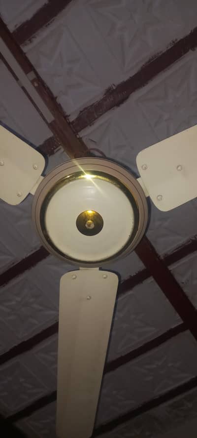 sofi fan. one year use. . bilkul ok condationcondation. . RS. 5500