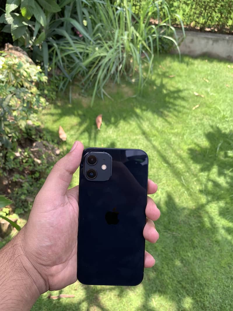 Apple iPhone 12 1