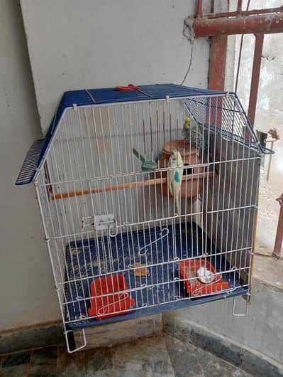 2 months use cage
