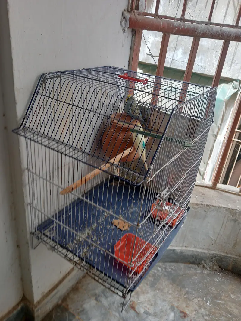2 months use cage — photo 2
