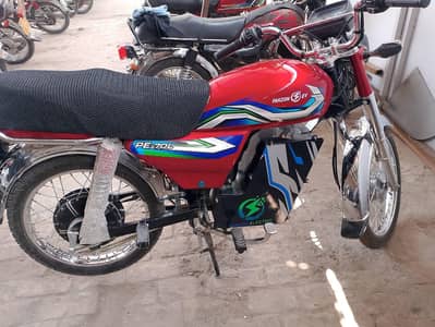 pakzon electric bike