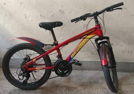 Begood 20 inch gear bicycle