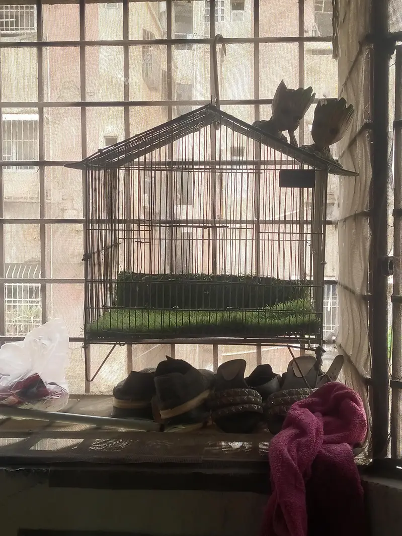 Cage for Sale 1.5x1 Size Good Condition like new with Grass sheet — photo 2