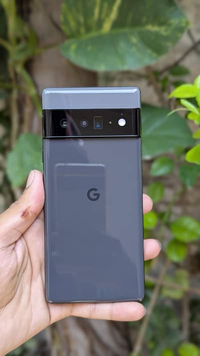 Google Pixel 6 pro pta approved