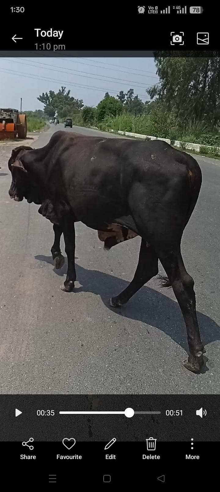 وچھا ارجنٹ سیل 1