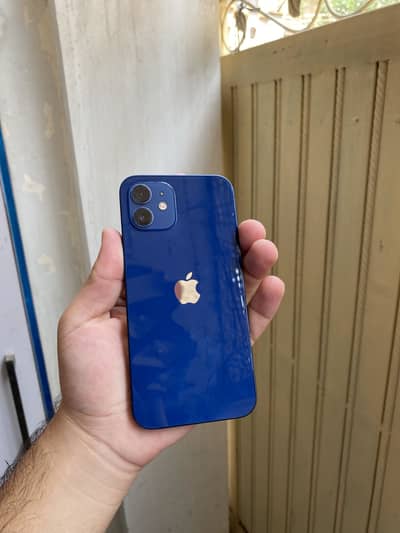 Apple iPhone 12