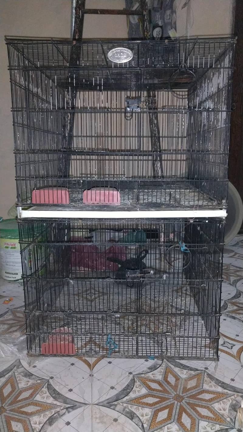 2 portion folding Cage 1