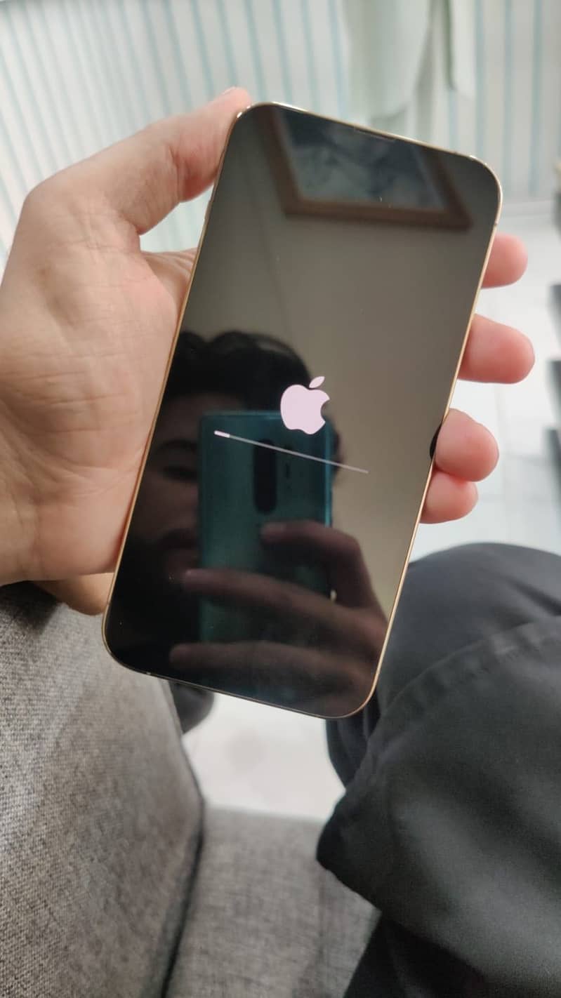 Apple iPhone 13 Pro Max 1