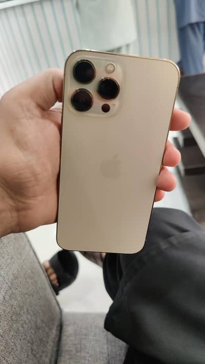 Apple iPhone 13 Pro Max