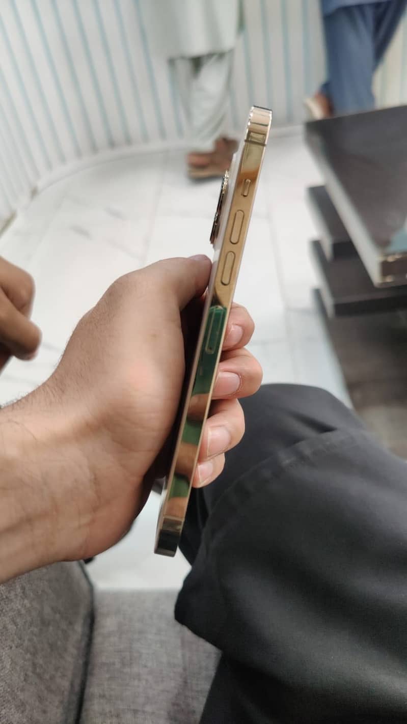 Apple iPhone 13 Pro Max 2