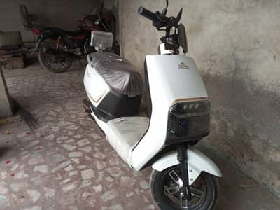 Crown Firefly's 2025 brand new condition