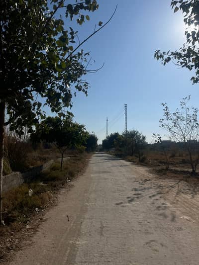 Residential Plot for Sale Zamar Valley Islamabad
