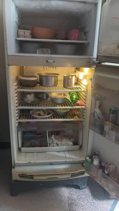 PEL Medium size used Fridge for sale