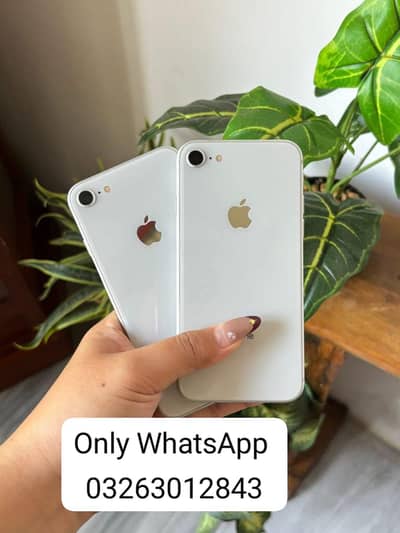 Apple iPhone 8 PTA approved with box My WhatsAp 03263012843