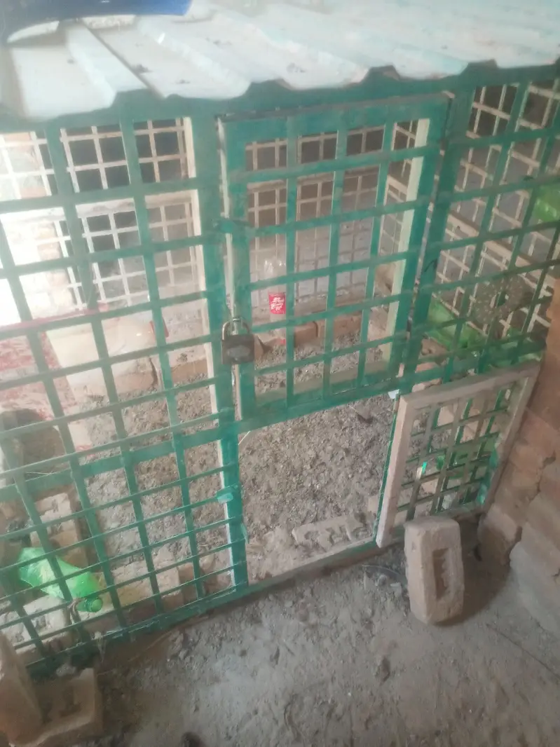 hen cage murgio ka pinjra 80 kilo wazan — photo 2