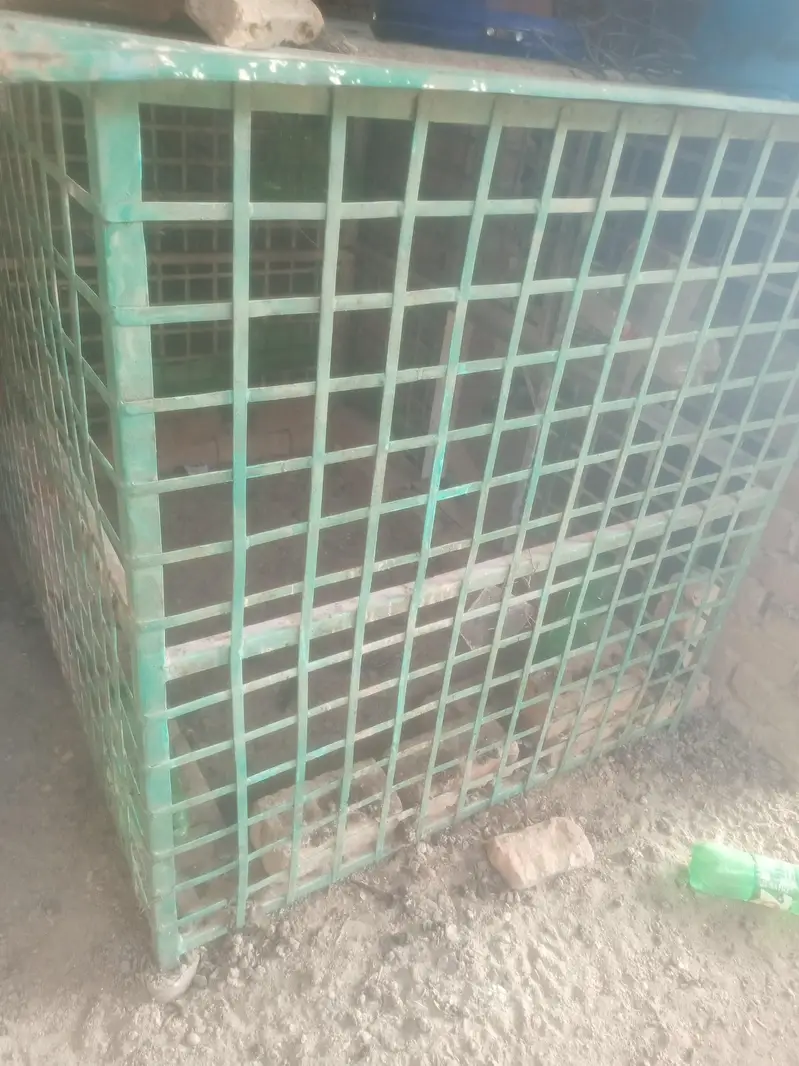 hen cage murgio ka pinjra 80 kilo wazan — photo 3
