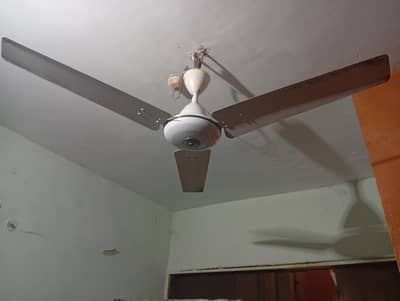 Super Asia Fan
