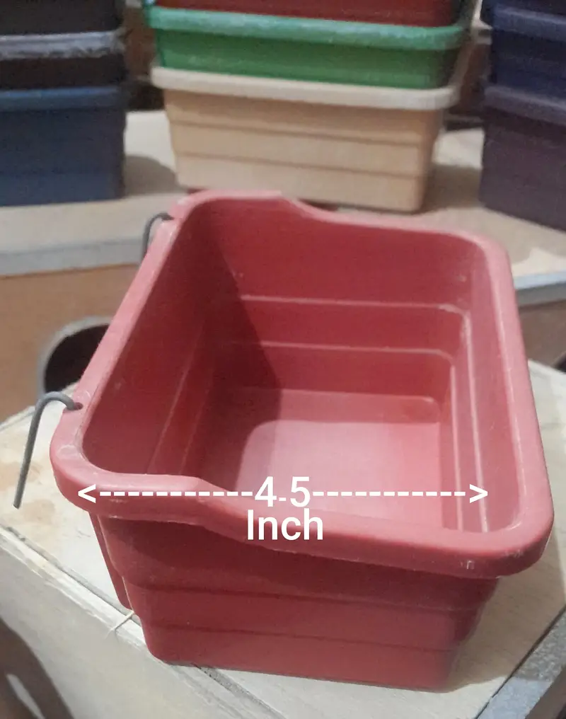 Love Birds pair and Breeding Box sale — photo 8