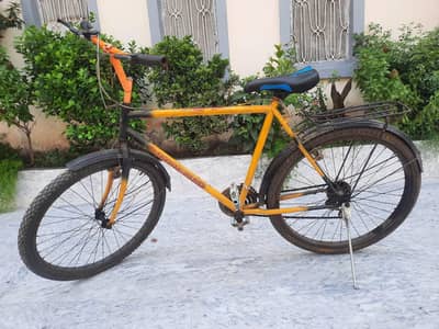 Full Size Gear bicycle