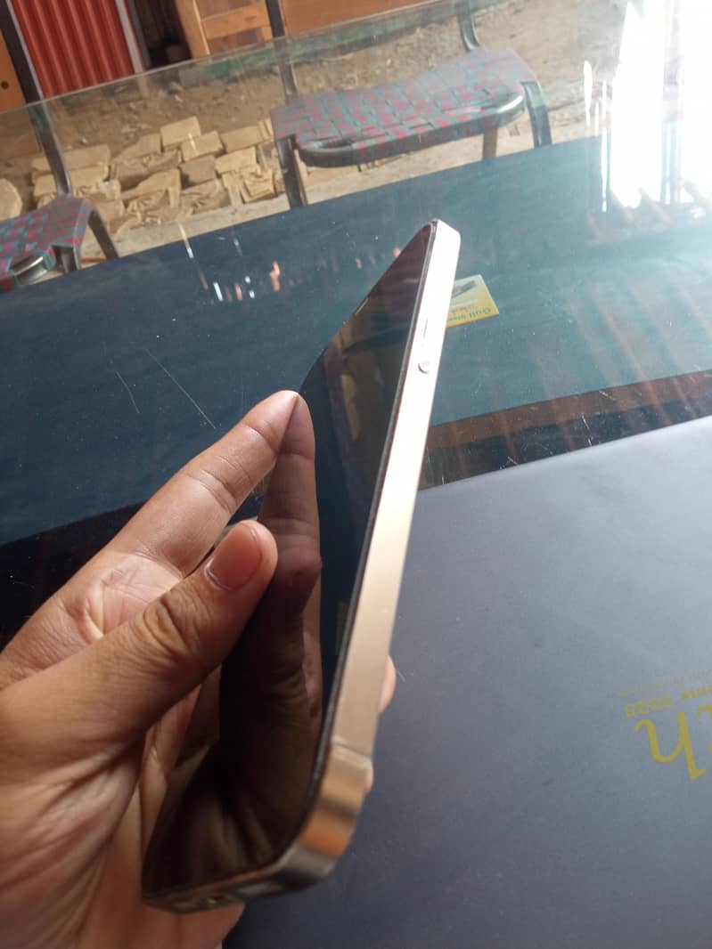 Apple iPhone 12 Pro Max 2