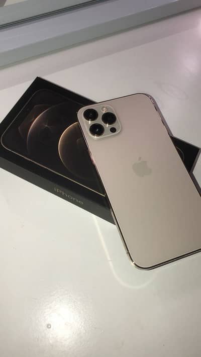 Apple iPhone 12 Pro Max