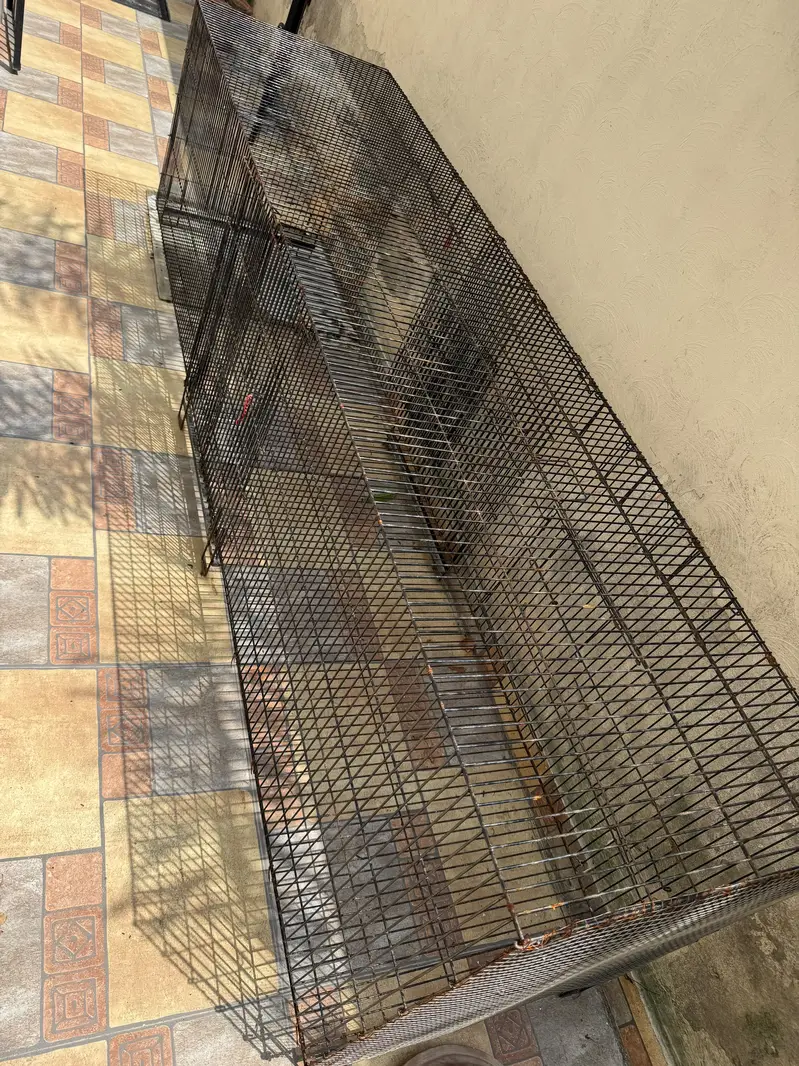 Pinja cage for sale — photo 2