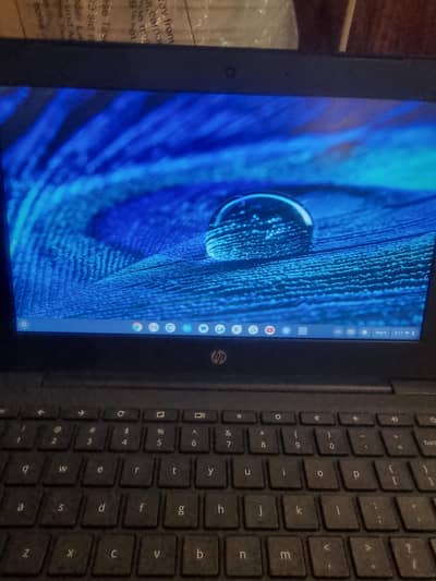 Hp chromebook g6 or g5