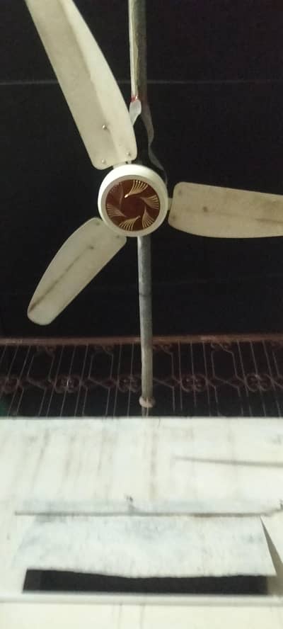 Ac Dc fan