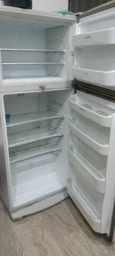 jumbo size freg 100% Collin