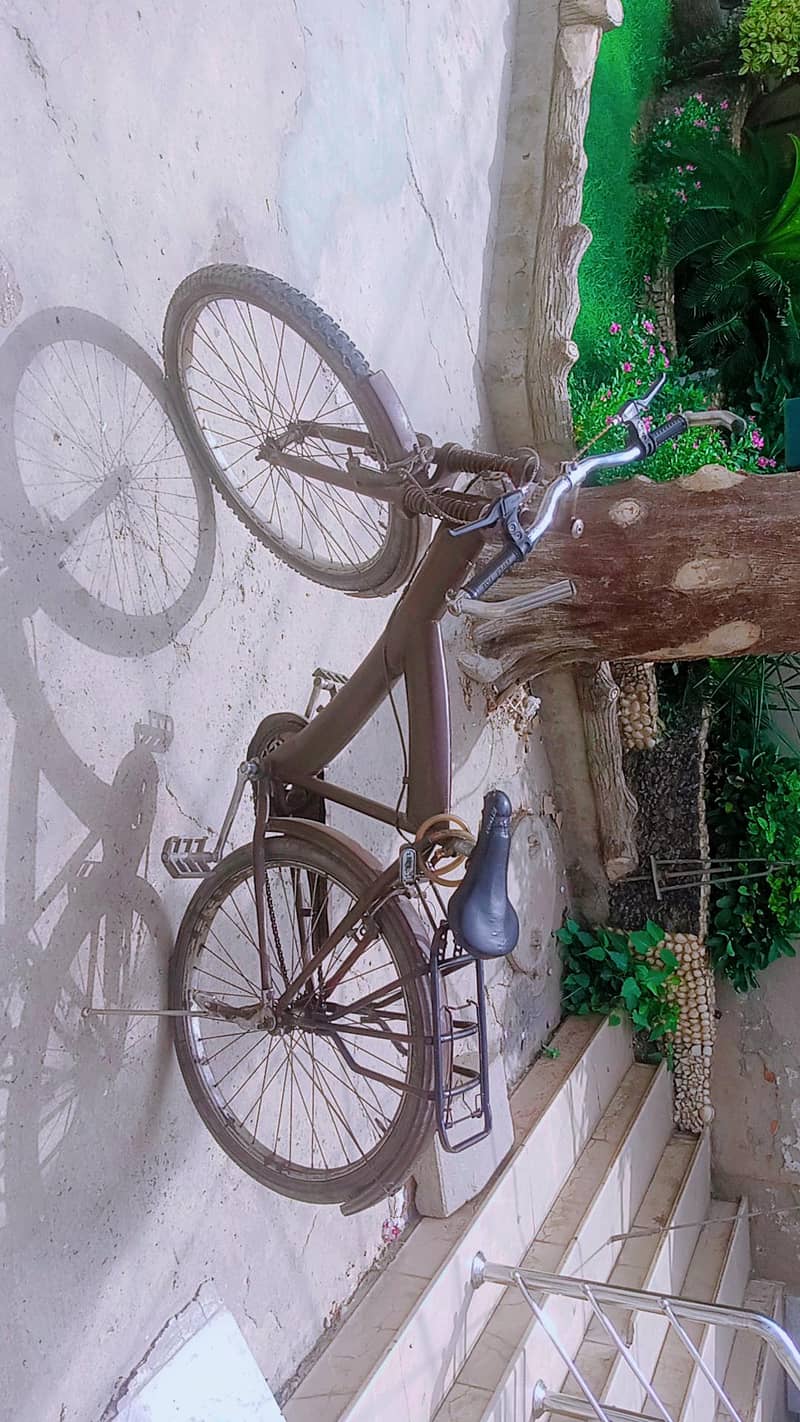 bicycle 1