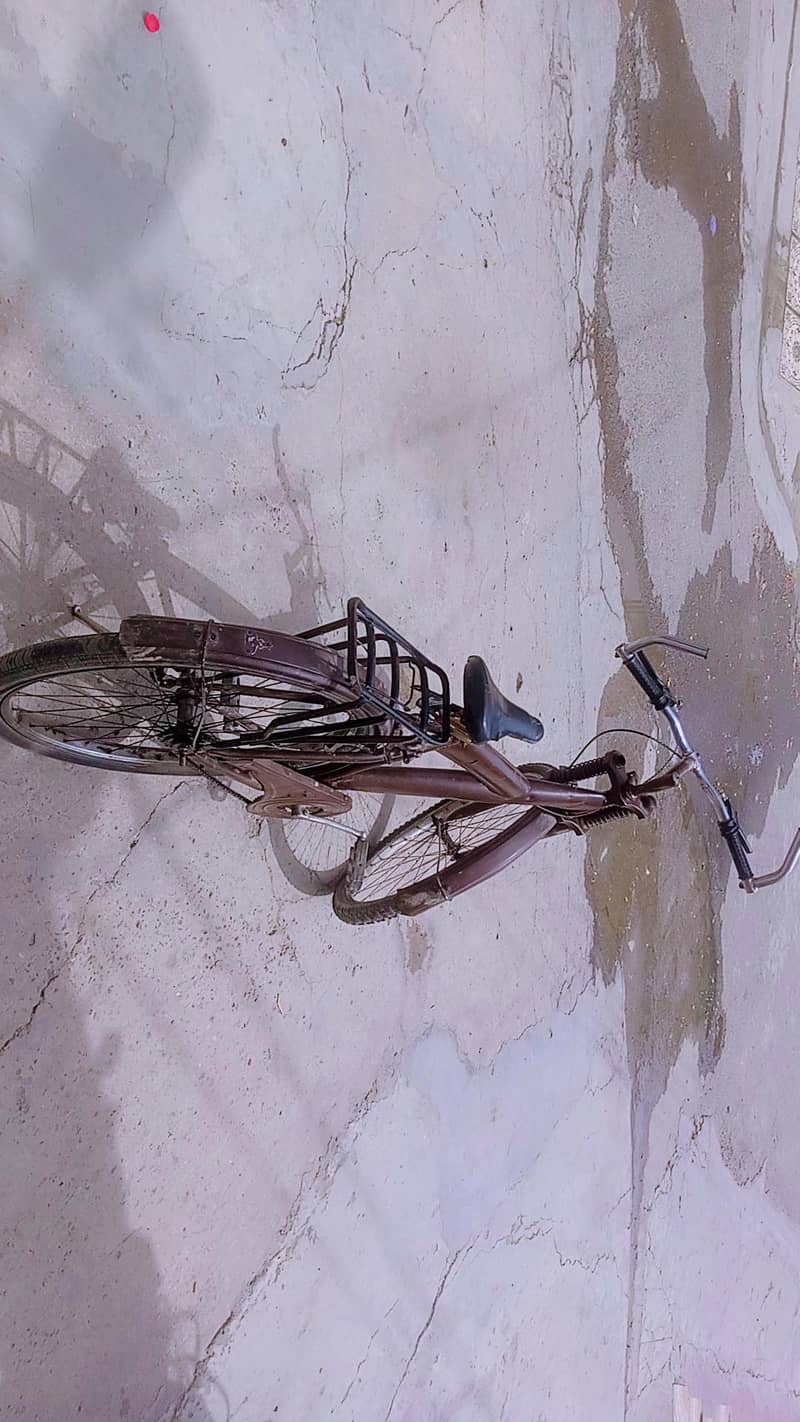 bicycle 2