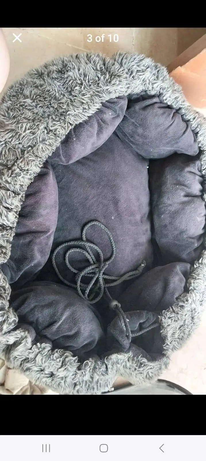 cat accessories — photo 3