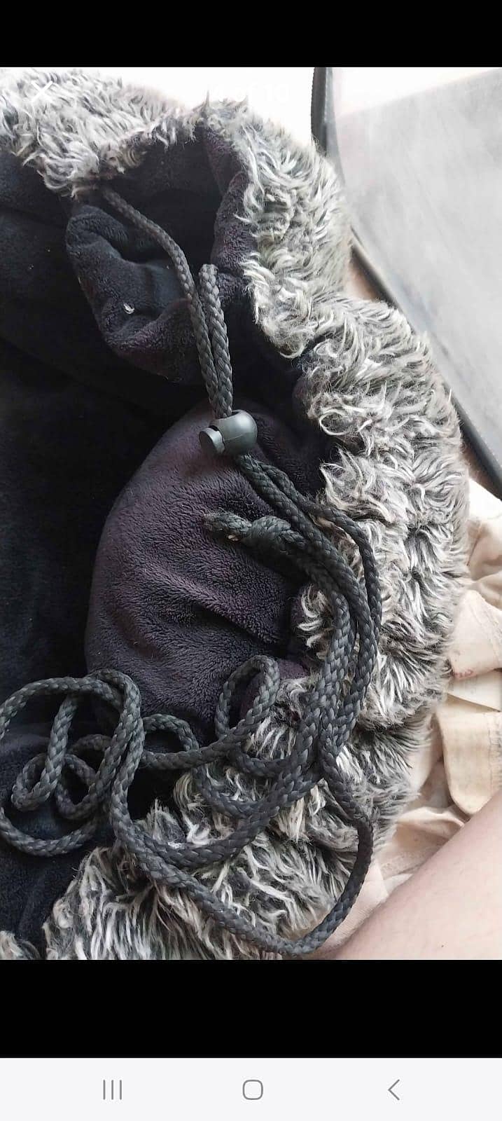 cat accessories 3