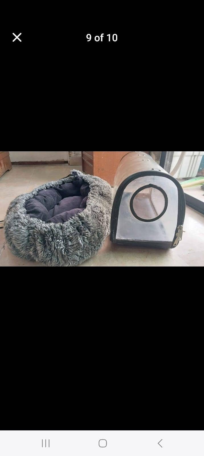 cat accessories 7
