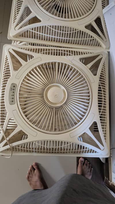 GFC celling Fan