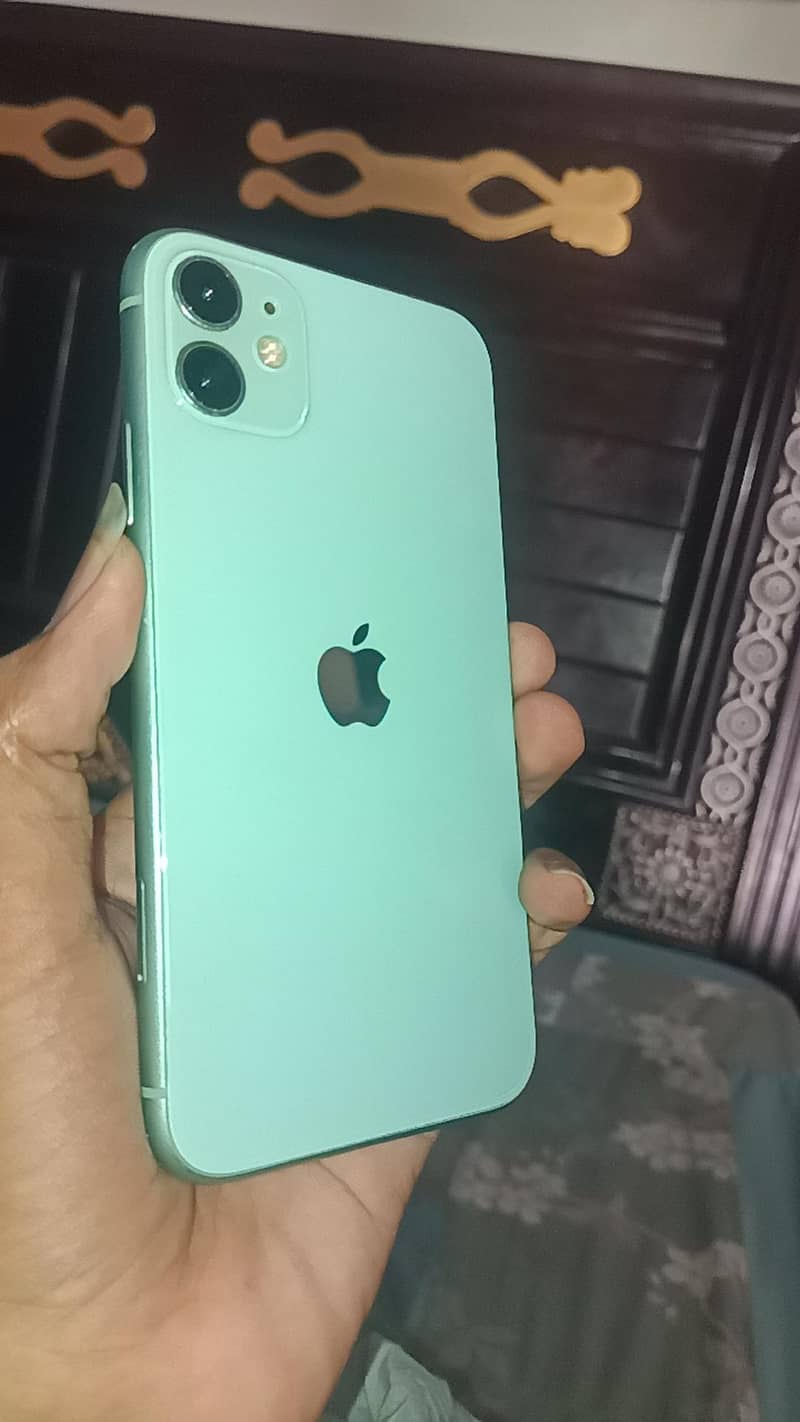 iPhone 11 0