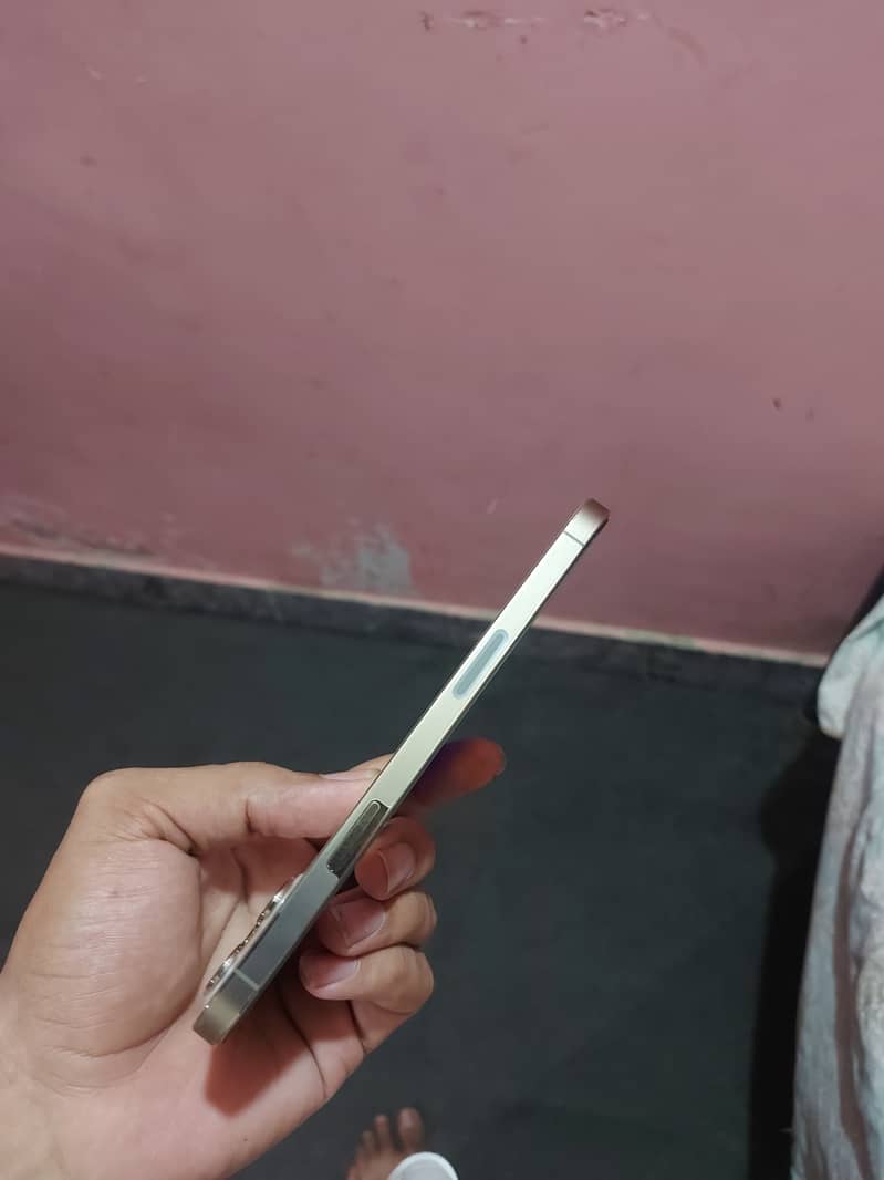Apple iPhone 12 Pro Max 4