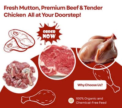 Fresh and Healthy Meat