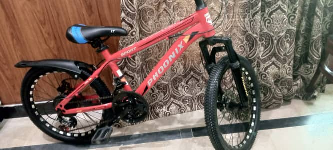 Phoenix 20" Mountain Bicycle – 21 Speed | Disc Brakes | Almost New