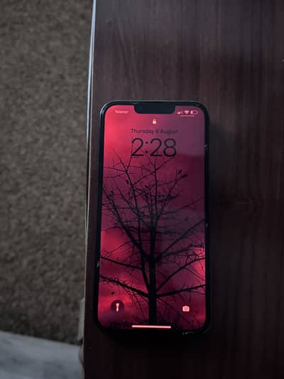 Apple iPhone 13 Pro